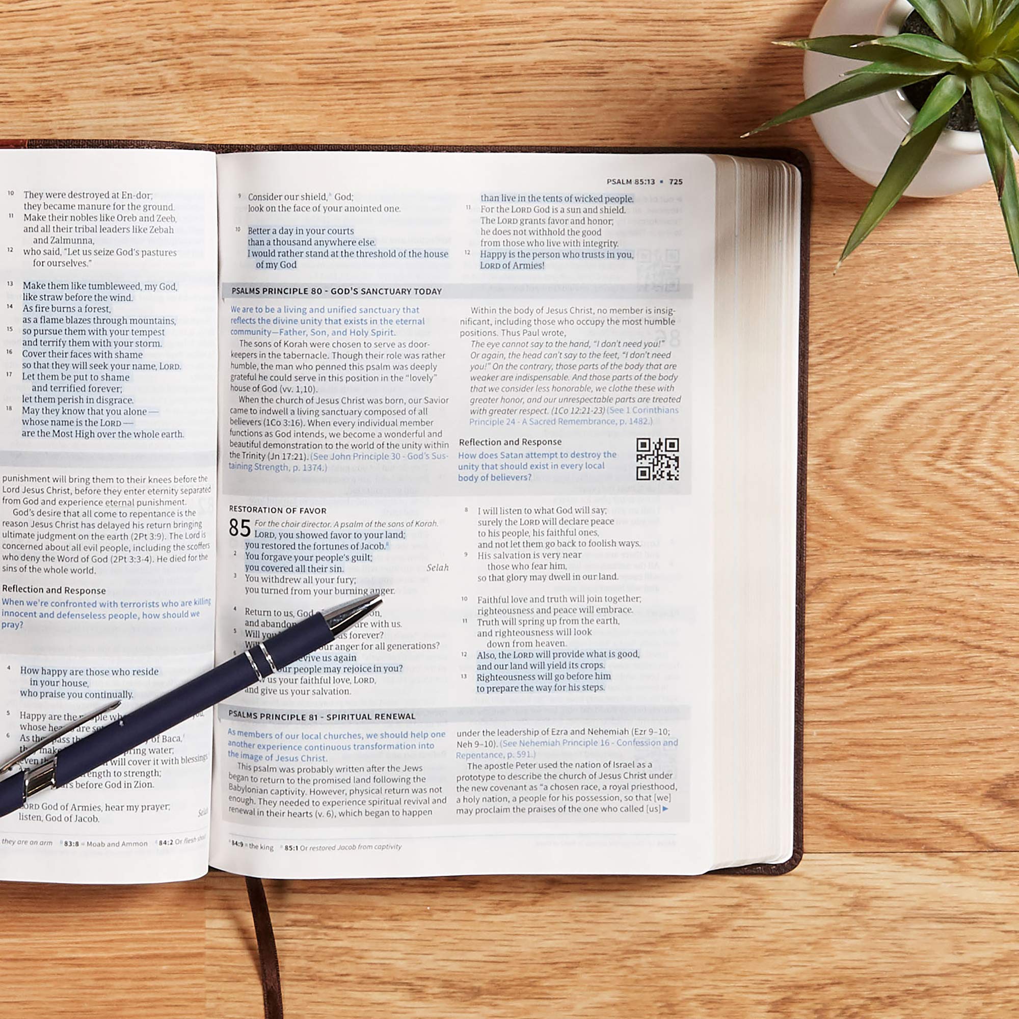 CSB Life Essentials Interactive Study Bible, Brown LeatherTouch, Black Letter, Study Commentary, Life Principles, QR Codes, Videos, Easy-to-Read Bible Serif Type - Image 6