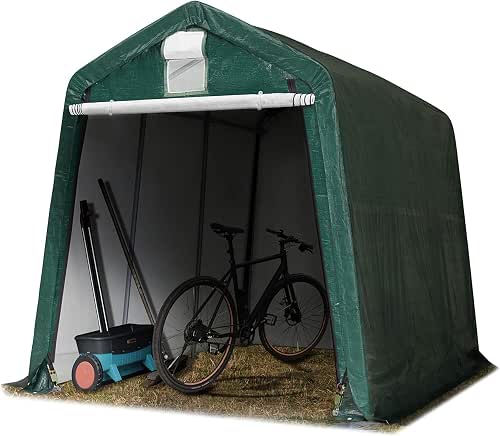 TOOLPORT 2,4 x 3,6 m Garage, abri de Stockage, PE