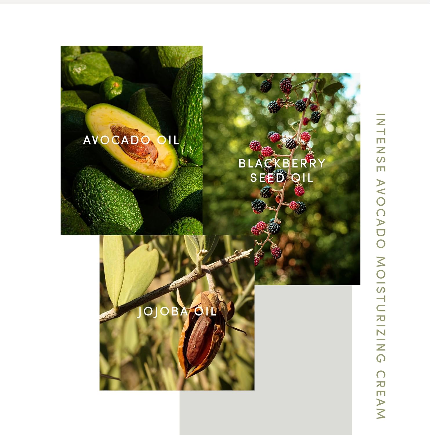 Avocado Moisturizing Face Cream – Rich Daily Facial Moisturizer with Avocado, Jojoba & Botanical Oils, 30 ml (1.01 fl oz)