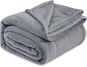 Bedsure GentleSoft Fleece Bed Blankets Queen Size Grey - Soft Lightweight Plush Fuzzy Cozy Luxury Fall Blanket Microfiber, Room Home Decor Gifts for Women and Men, 90x90 inches