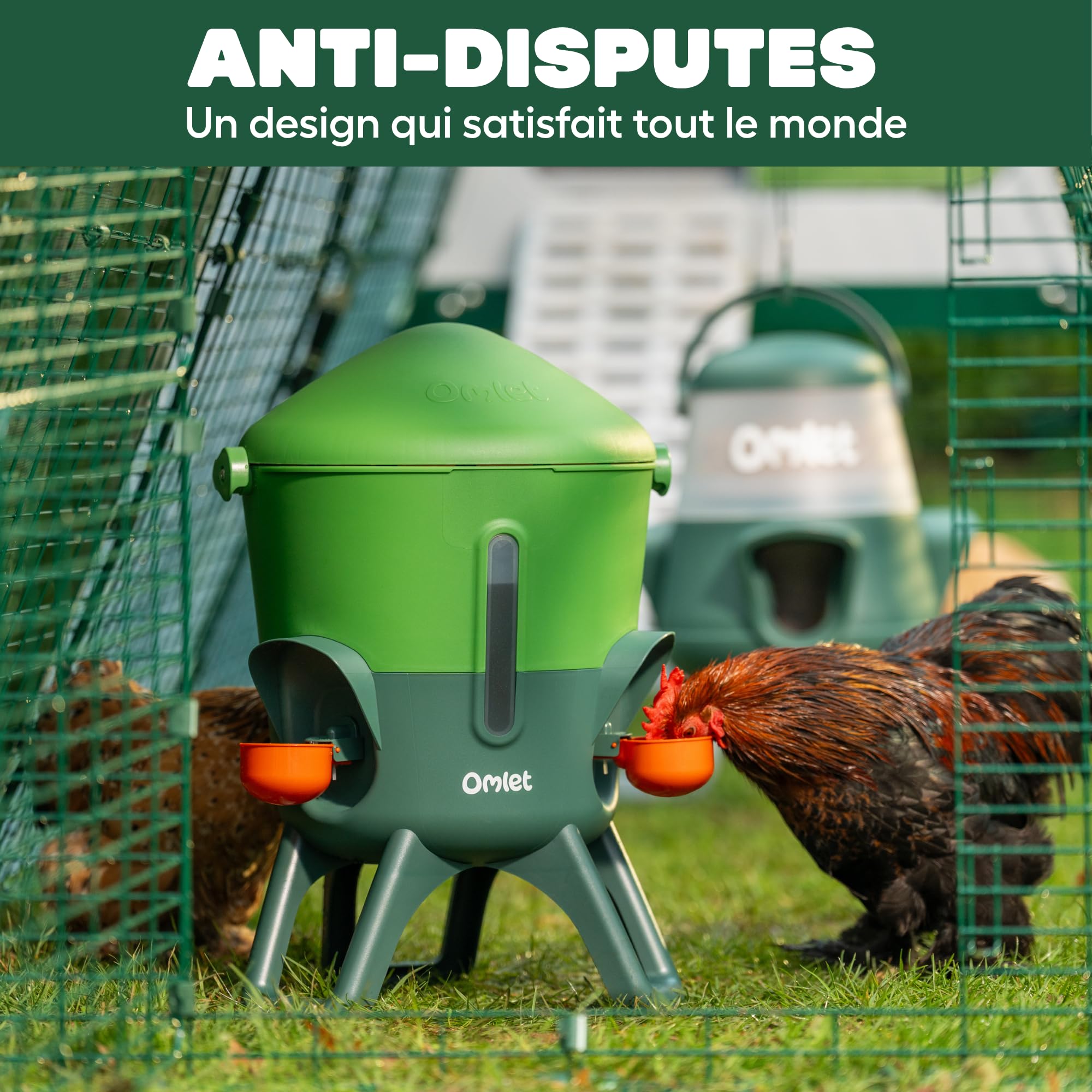 Omlet Abreuvoir isolé pour Poules 5.5 L | Eau Plus Propre Plus Longtemps | Distribution Automatique Hygiénique | Embouts Tasse et tétine Inclus | sans BPA | Vert Eglu