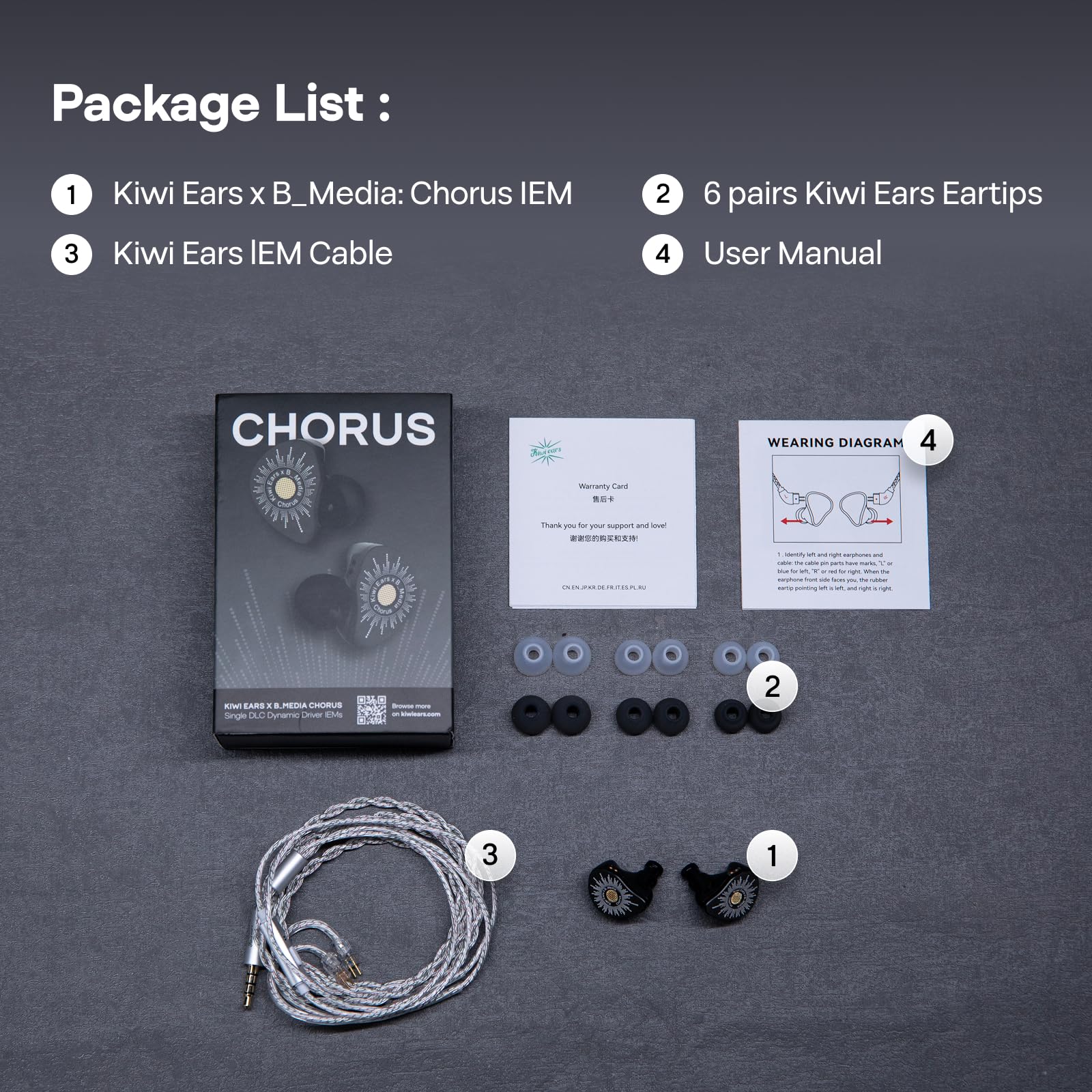 Linsoul Kiwi Ears x B_Media: Chorus In-Ear Monitor, Controlador Dinámico con Diafragma DLC, Auriculares Cableados con Placa Frontal de Metal CNC, Cable Doble Chapado en Plata (Negro, 3,5 mm sin Mic)