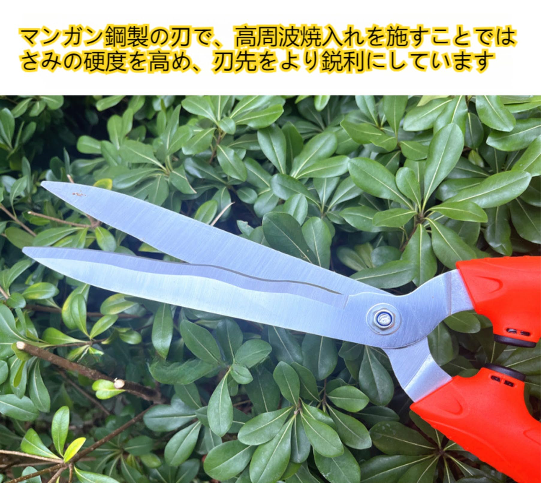 Amazon | ZITIXO 伸縮ハンドル付きの刈込鋏、柄の長い庭の剪定ばさみは