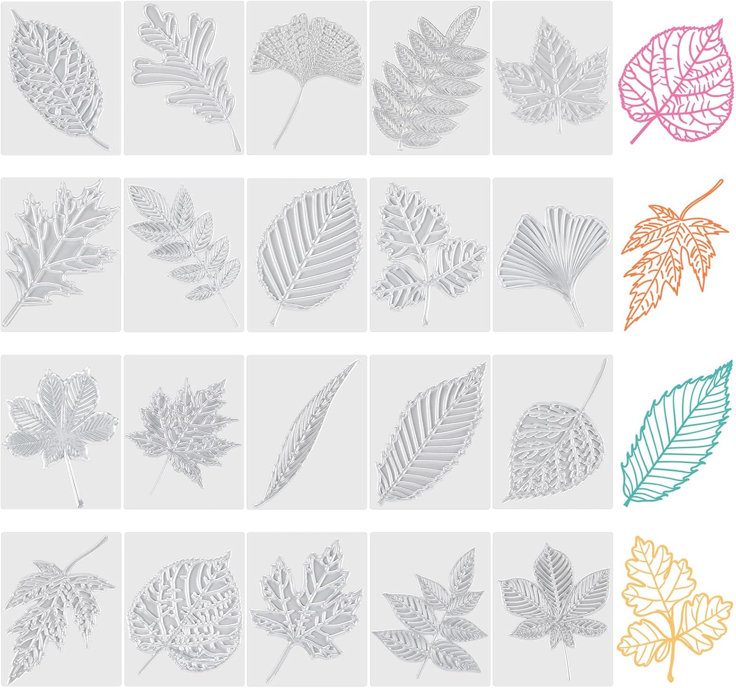Wonderjune 20 Pcs Leaf Rubbing Plates 3.94 x 5.12 Inches Texture Art Supplies Texture Plates for Home, 20 Style