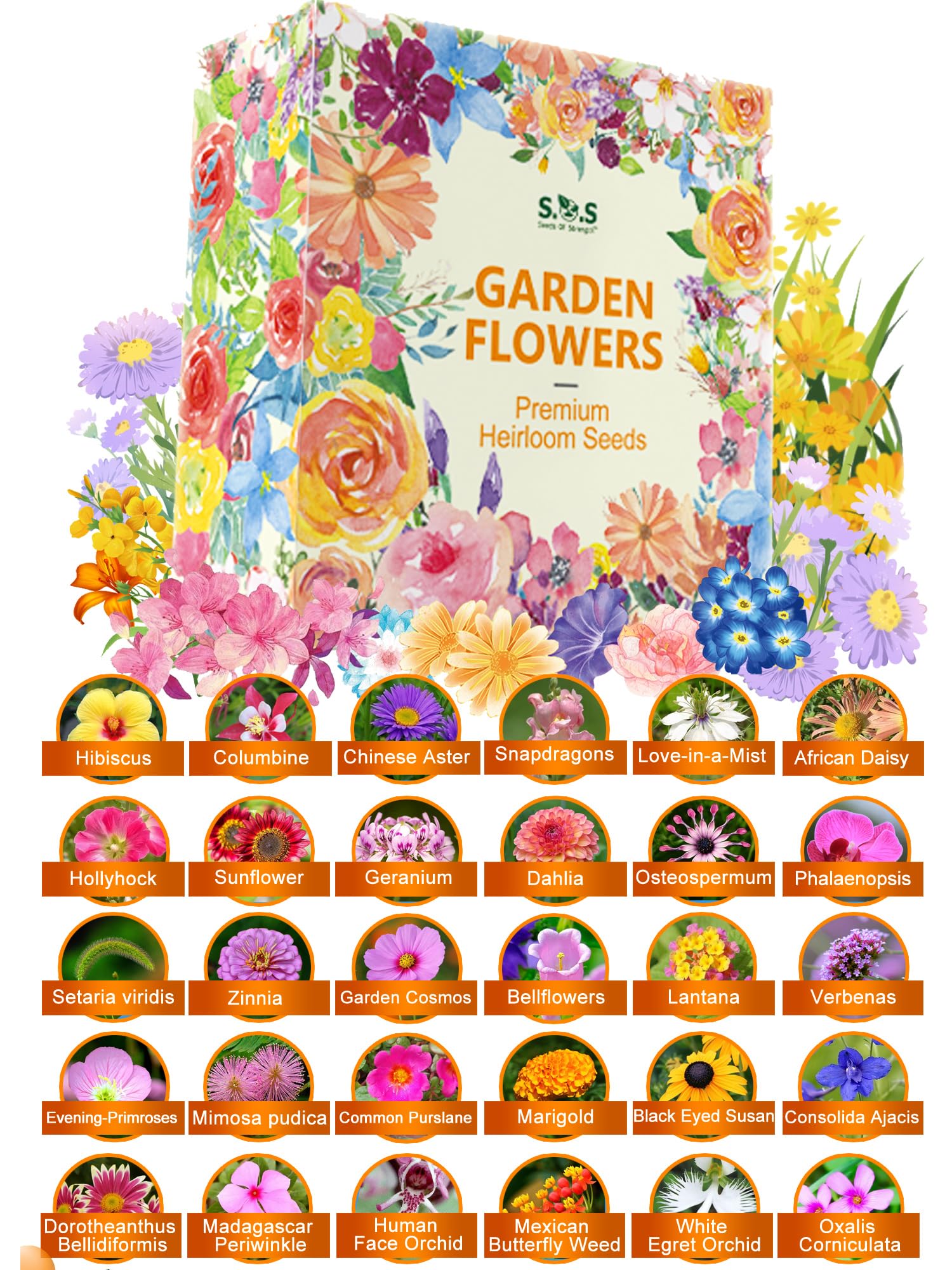 Big Bulk Bundle 2.2 oz - Bird and Butterfly Wildflower Pollinator Mix with 38,000+ Seeds of 30 Varieties include Sunflower, Carnation, Hibiscus,