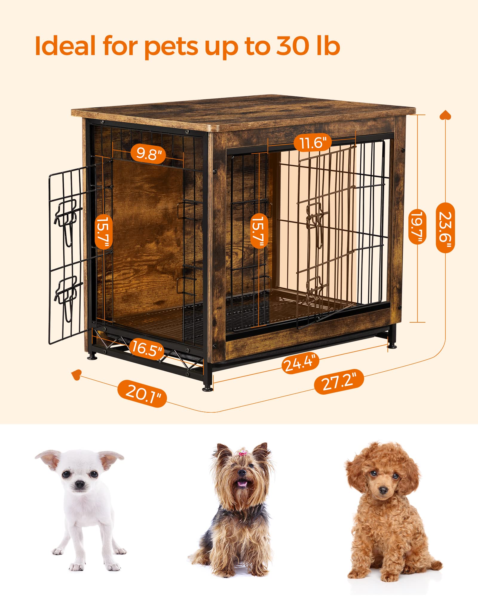 https://m.media-amazon.com/images/I/81CGmVsuHqL.jpg