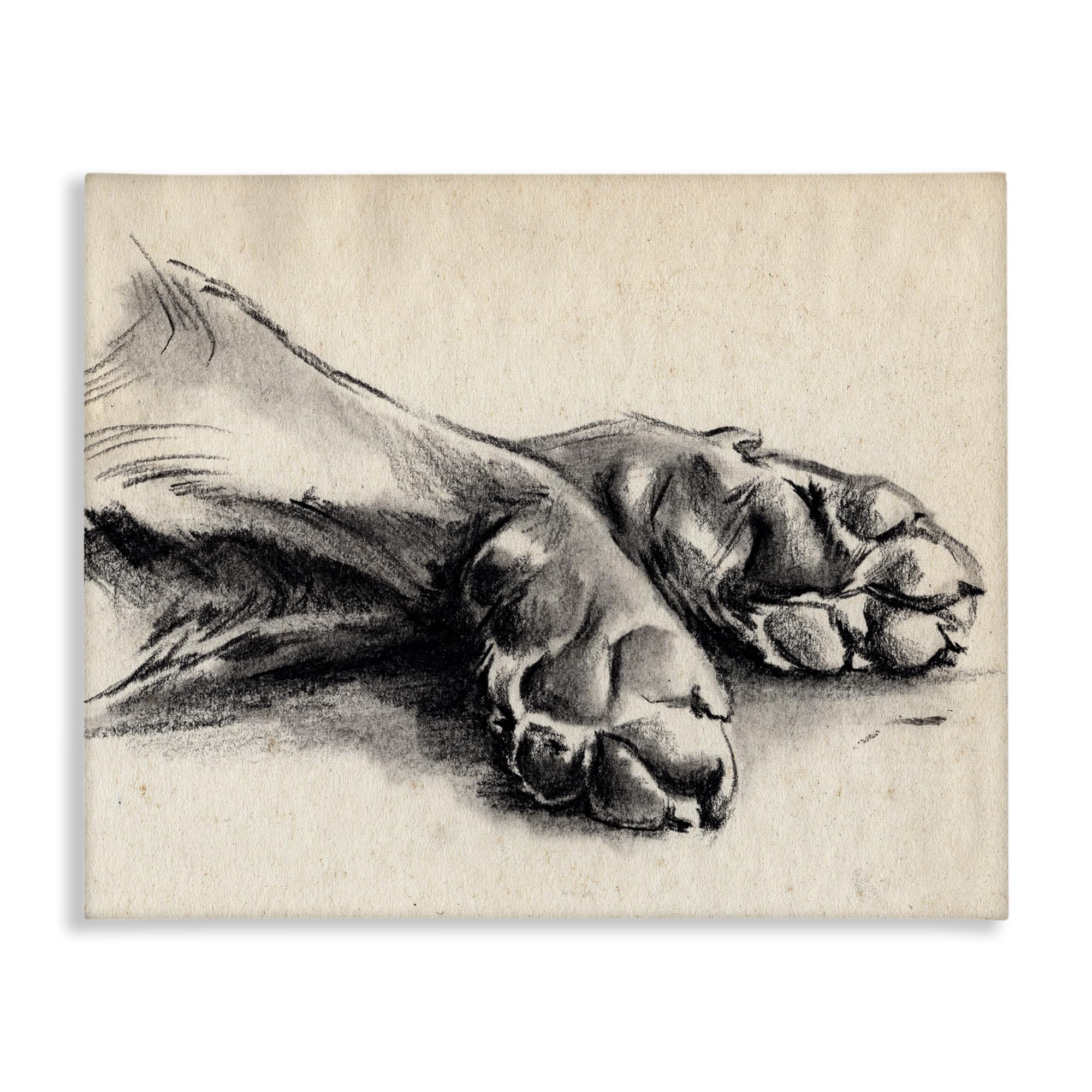 Photo 1 of 'Dog Paw Charcoal Design'| Canvas Art