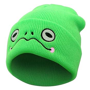 Cute Beanie Frog Beanie Animal Knit Hats, Funny Beanie Hat