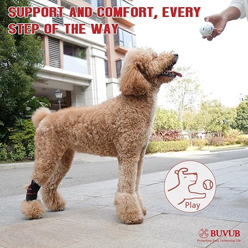 Miniatura 5 de Soporte para perro para pierna trasera con tiras de resorte de metal integradas para esguinces, artritis, lesiones de ligamentos, recuperación