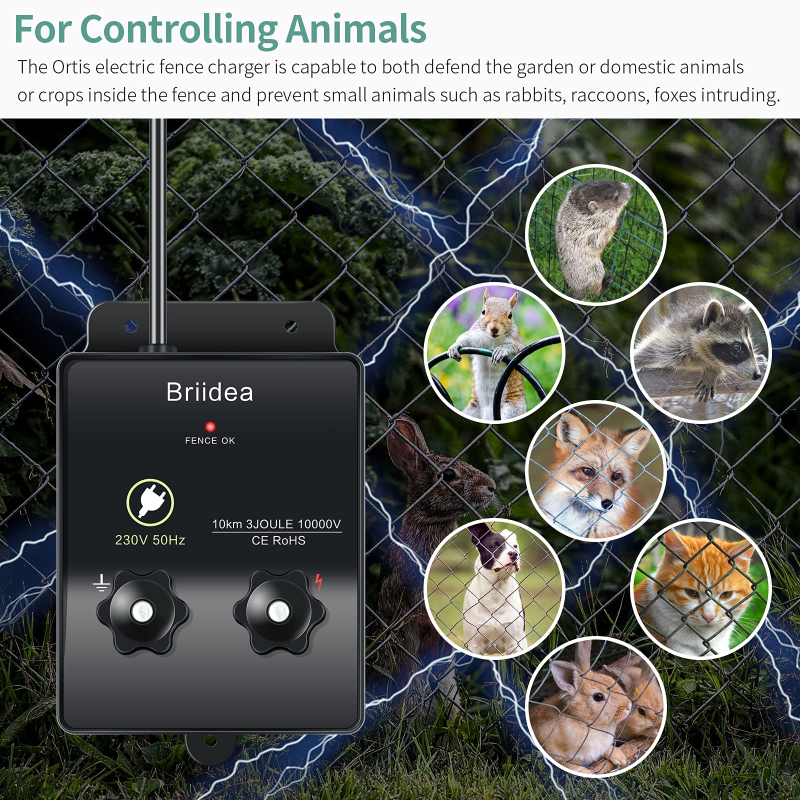 230V Weidezaungerät, Briidea 6.2 Meilen Elektrozaungerät für Hundezaun, Viehzaun, Eichhörnchen, verwendet für Gärten, Hühnerställe, Einfache Installation, 3 Joule