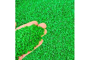 Sensory Bin Filler for Sensory Table: Vibrant Colored Rice for Creative Sensory Play