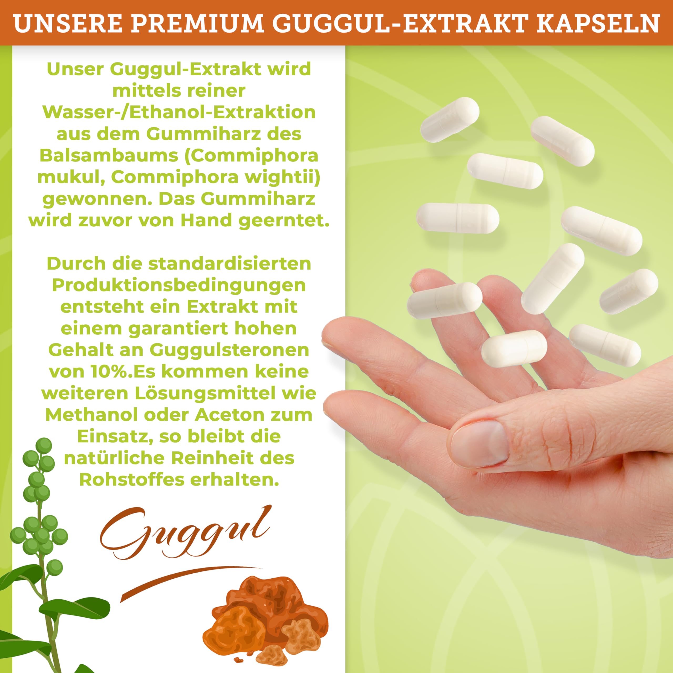 QIDOSHA® Guggul Extrakt Kapseln hochdosiert mit 10% Guggulsterone, 120 Guggulu Kapseln im Apothekerglas, Guggulu Extrakt 500mg je Kapsel mit 50mg Guggulsterone, höchster Guggulsterone-Anteil am Markt
