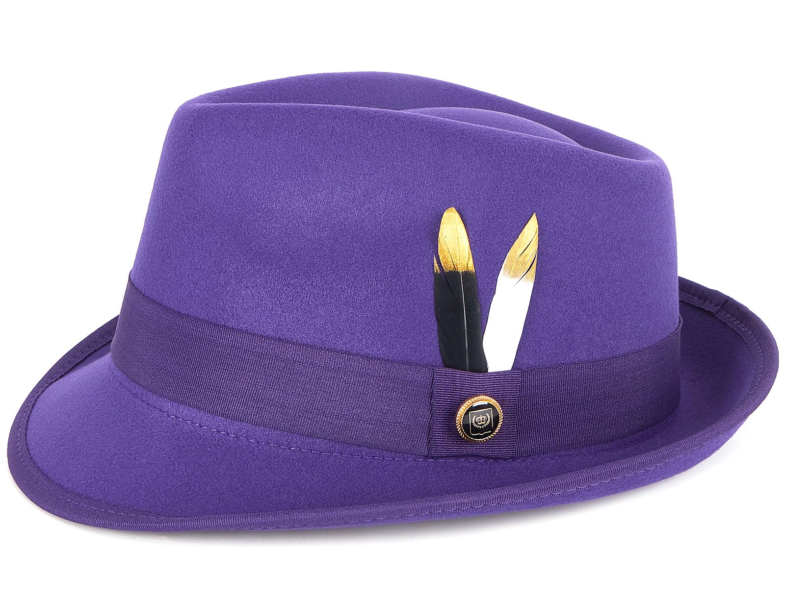 Fedora Hats for Men &amp; Women Short Brim Felt hat Trilby Fedora with Feather Panama Dress Hat