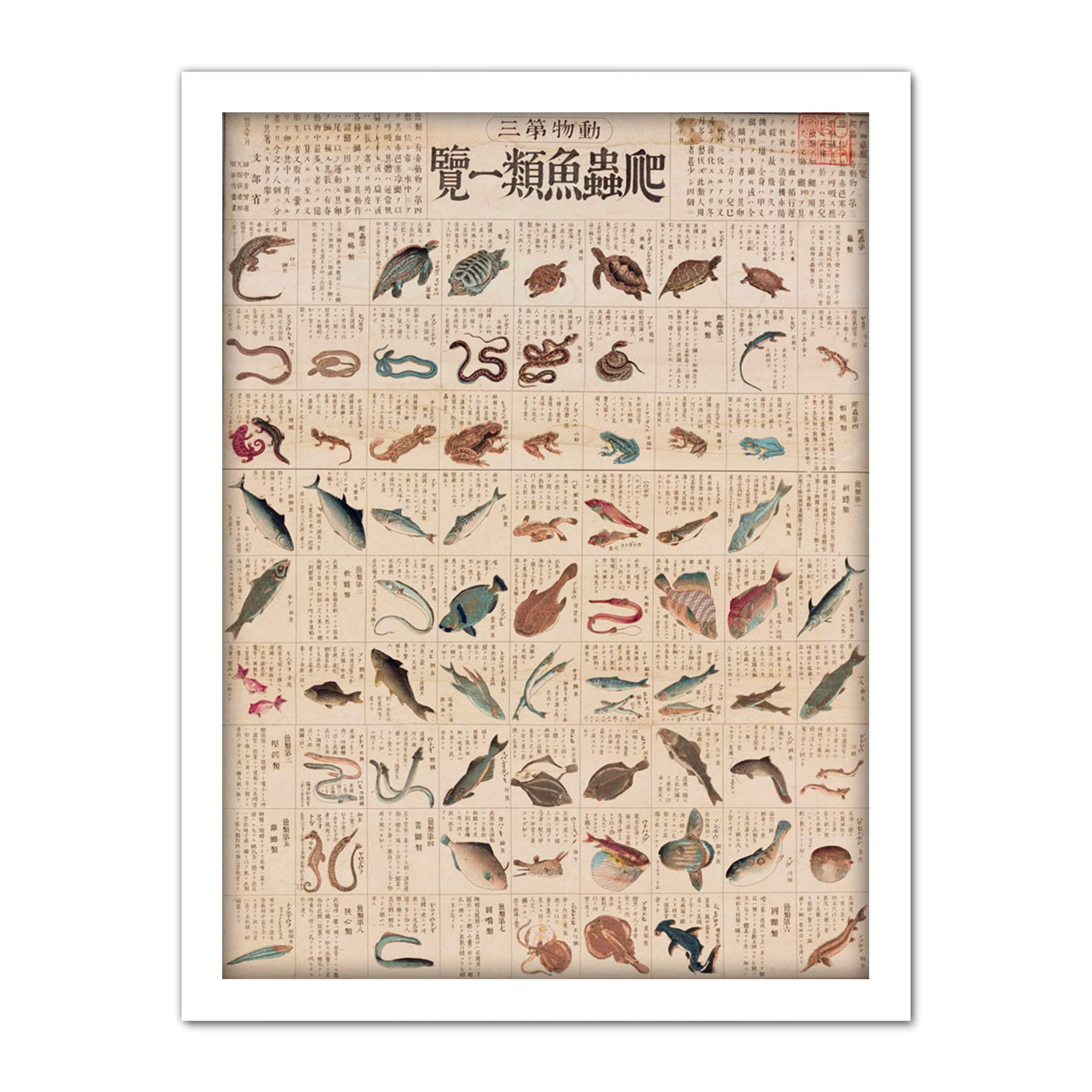 Artery8 Kato Chikusai Species of Fish Reptiles Japanese Artwork Framed Wall Art Print 18X24 Inch