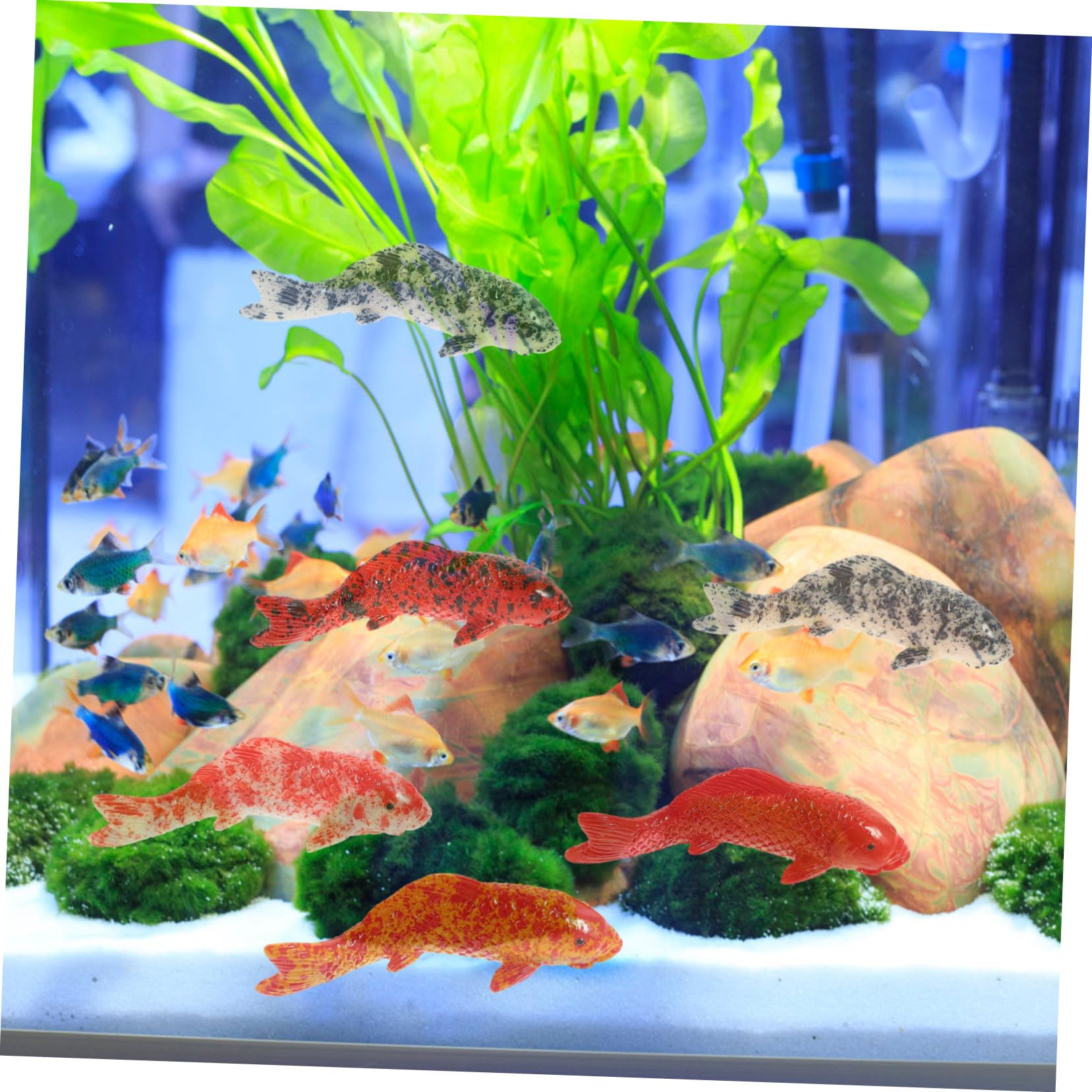 Toddmomy 20Pcs decorations fake fish aquarium fake goldfish aquarium supply miniature figure Model household small paper cup decorate mini cake carp household - Image 2