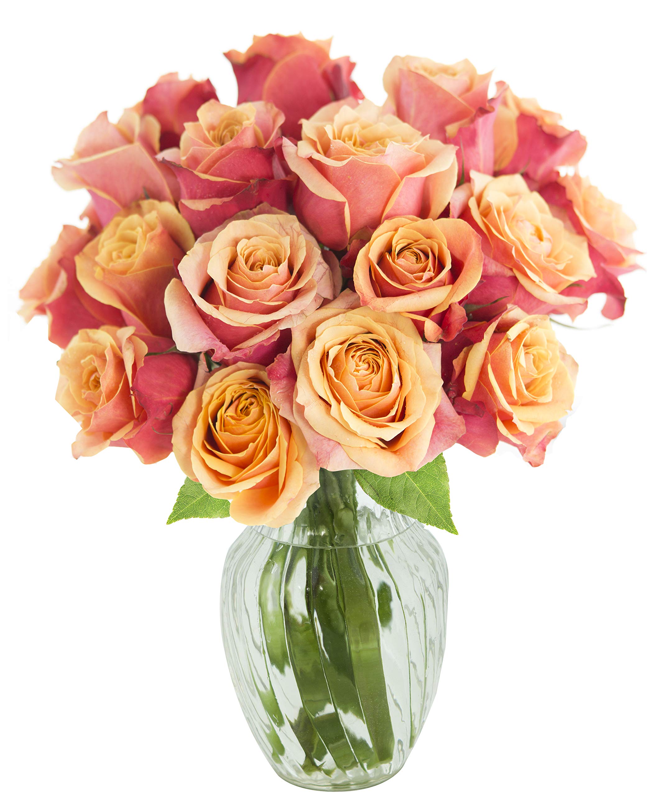 KaBloom PRIME NEXT DAY DELIVERY - Fall Collection - Bouquet of 18 Fresh Orange Roses (Farm-Fresh, Long-Stem) with Vase. Gift for Birthday, Anniversary, Thank You, Valentine, Mother’s Day Fresh Flowers