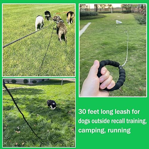 Miniatura 6 de Correa larga de 30 pies para perros, correa larga reflectante resistente con gancho giratorio y cómodo mango acolchado para mascotas grandes,