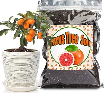 Doter Citrus Tree Potting Soil Mix, Organic Loamy Potting Soil for Potted Lemon or Lime Tree, Special Blend for Indoor Oranges, Lemons, Limes and More