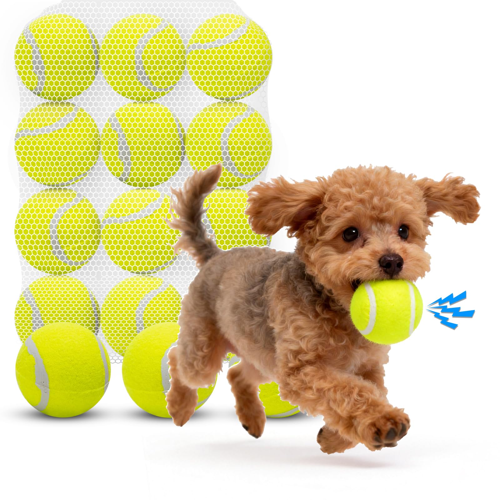 Nobleza Dog Tennis Balls 12 Pack, 2.5“ Floatable Squeaky Tennis Ball for Small Medium Dogs, Training Safe Natural Rubber Squeaky Dog Balls for Dogs to