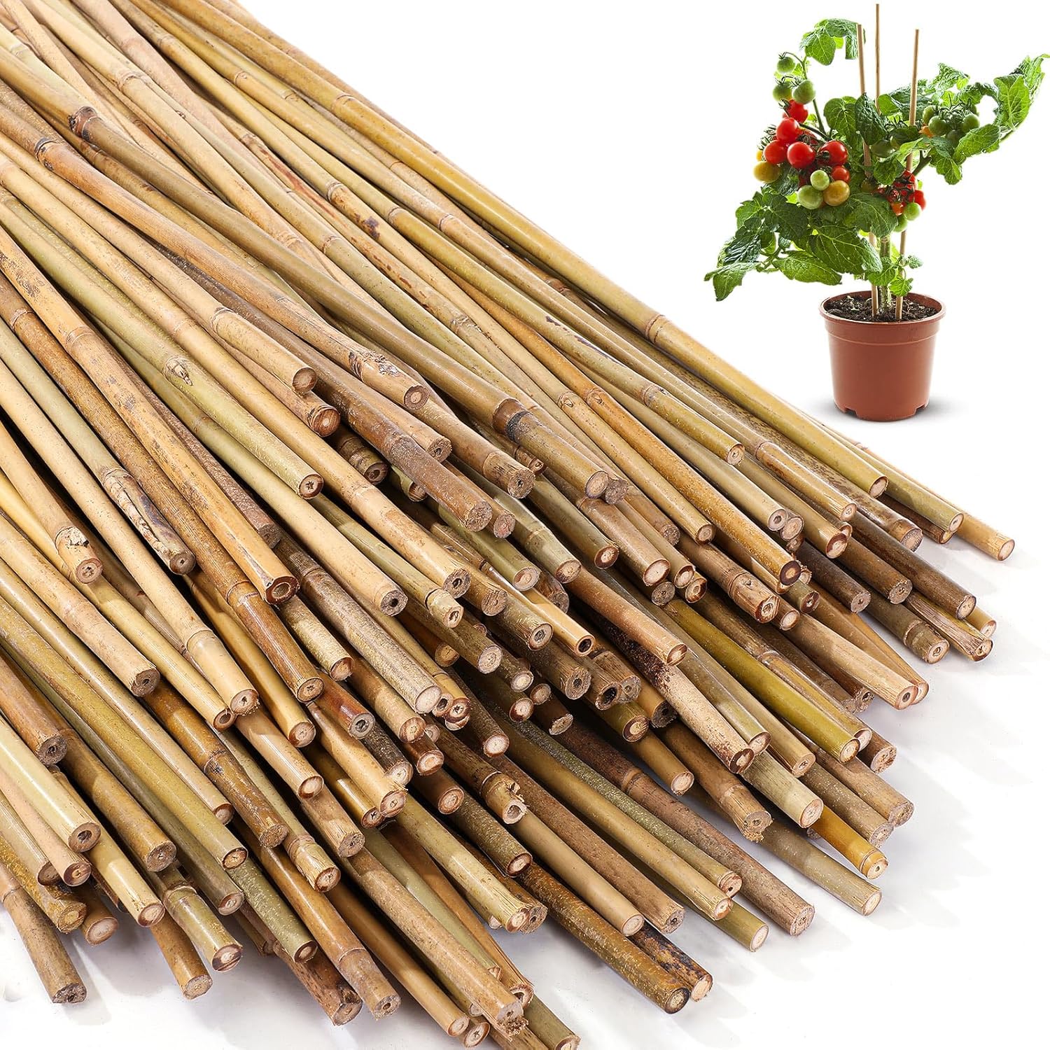 Suclain Bamboo Plant Stakes Natural Garden Support Sticks for Climbing Plants Sturdy Bamboo Garden Stakes for Tomato, Beans, Flowers and Potted Plants, Vegetables, Indoor & Outdoor(100 Pcs,2 ft)