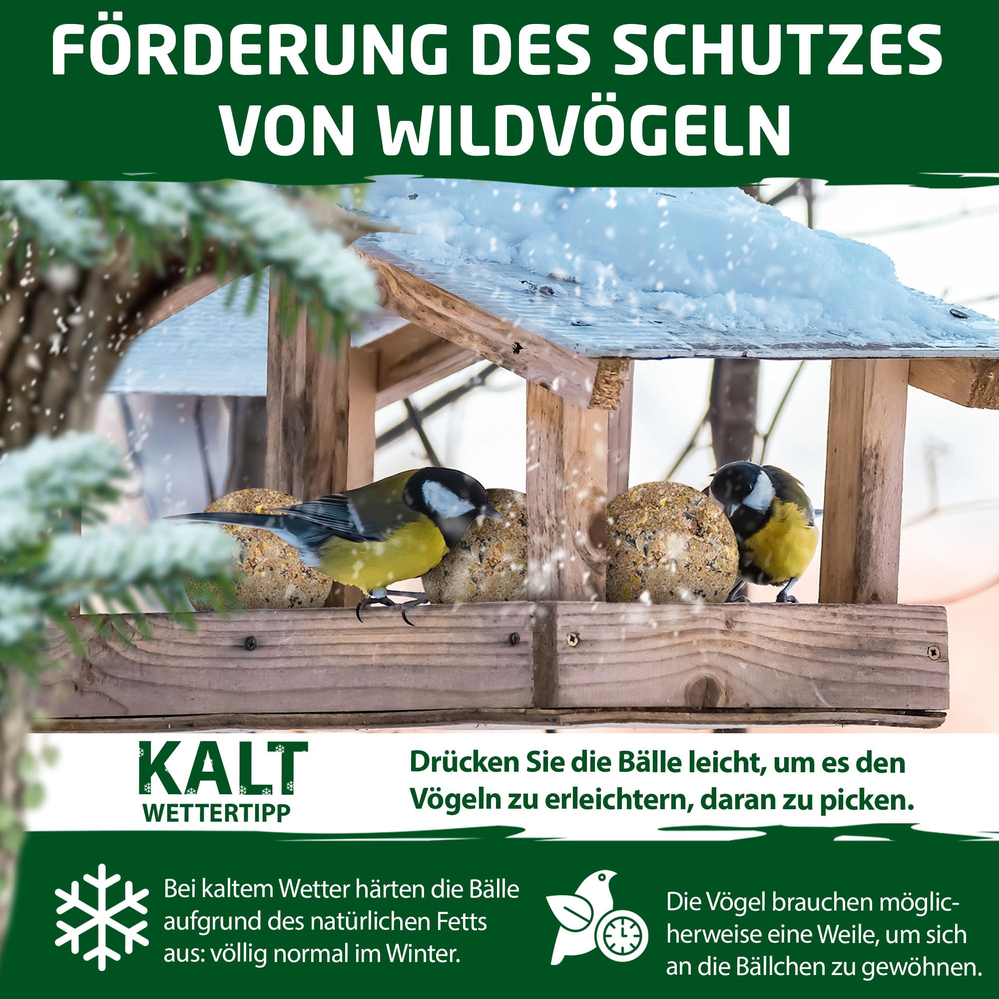 Eggersmann volaris Meisenknödel ohne Netz mit Insekten 200 Stück [Protein] 18 kg | Körnerkugel für Wildvögel | Nährstoffreiches Ganzahresfutter für alle Vogelarten | Vogelfutter Wildvögel ganzjährig