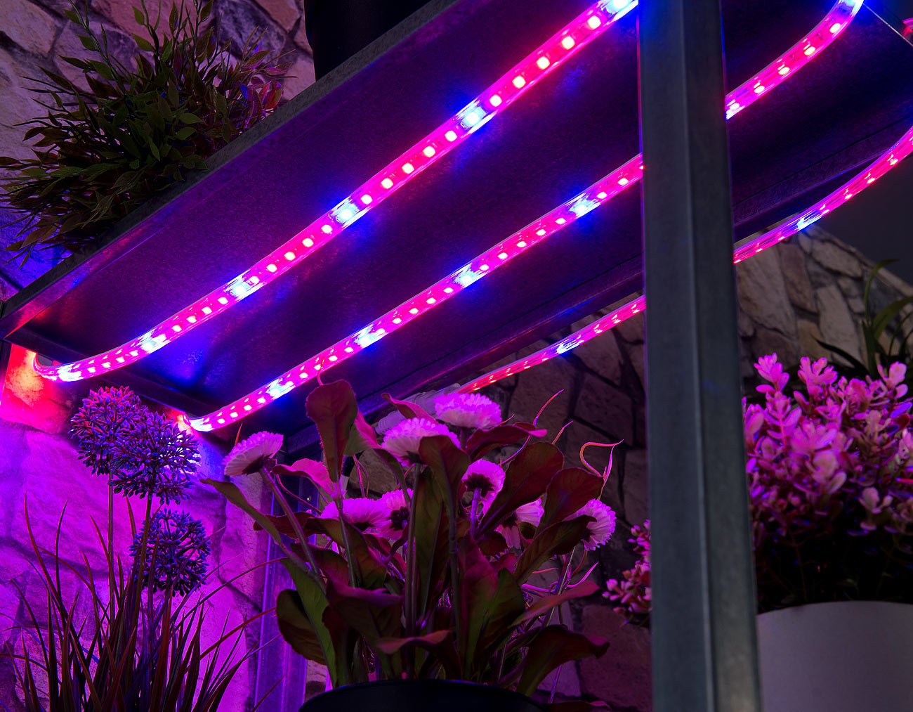 Lunartec Bandes de Culture à LED avec Adaptateur Secteur - 9 m