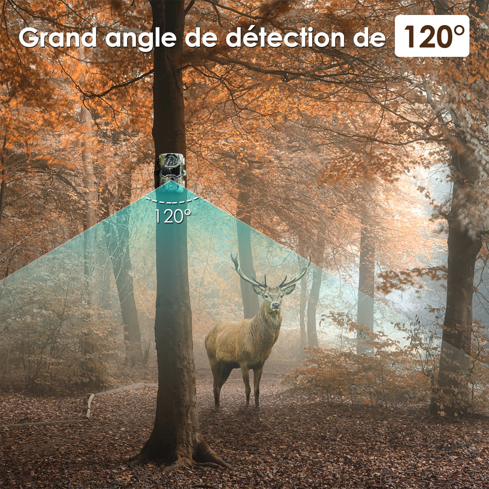 HAZA Camera De Chasse 4K HD Vision Nocturne Caméra Animaux Avec Carte