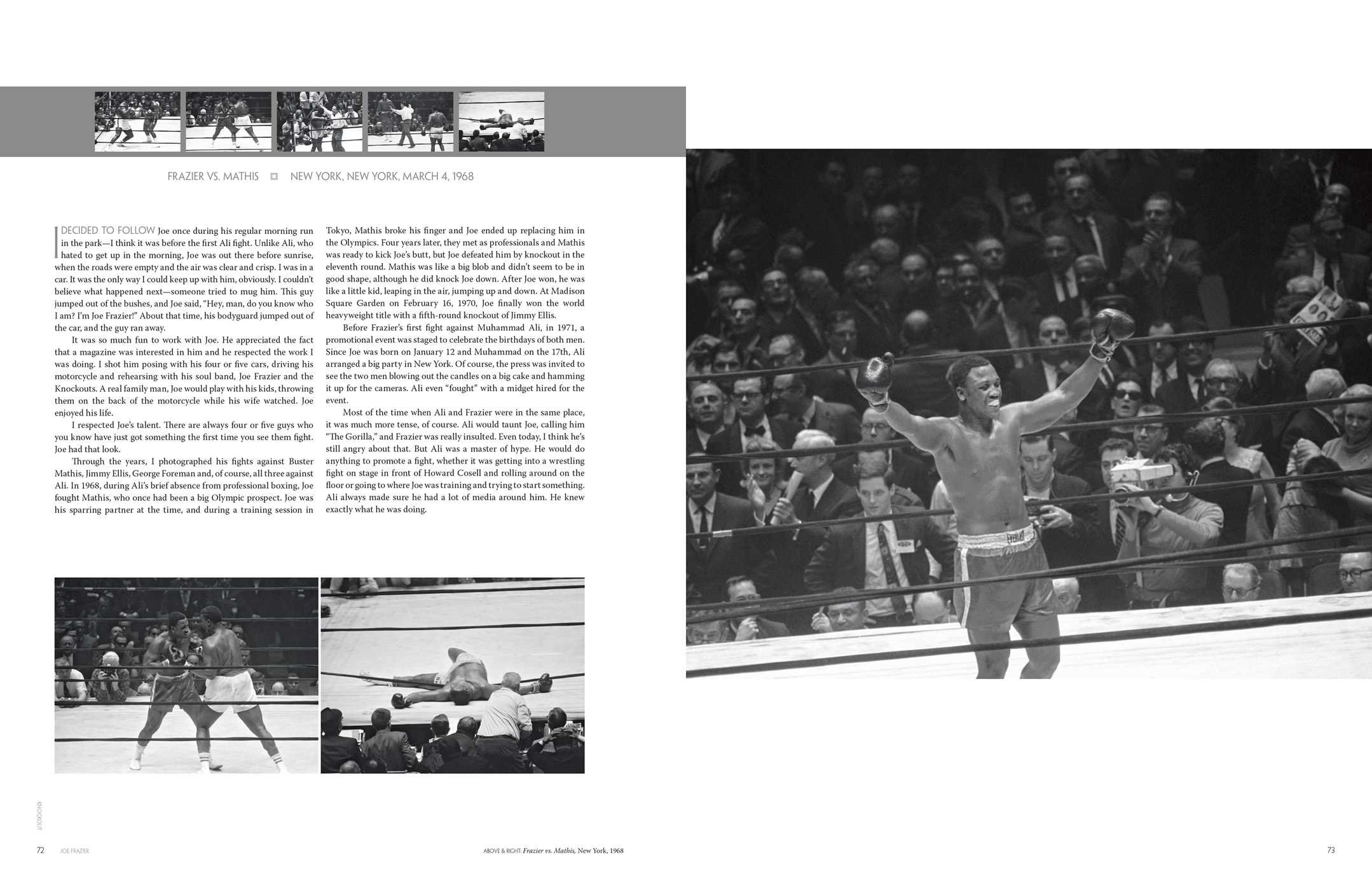 Knockout: The Art of Boxing