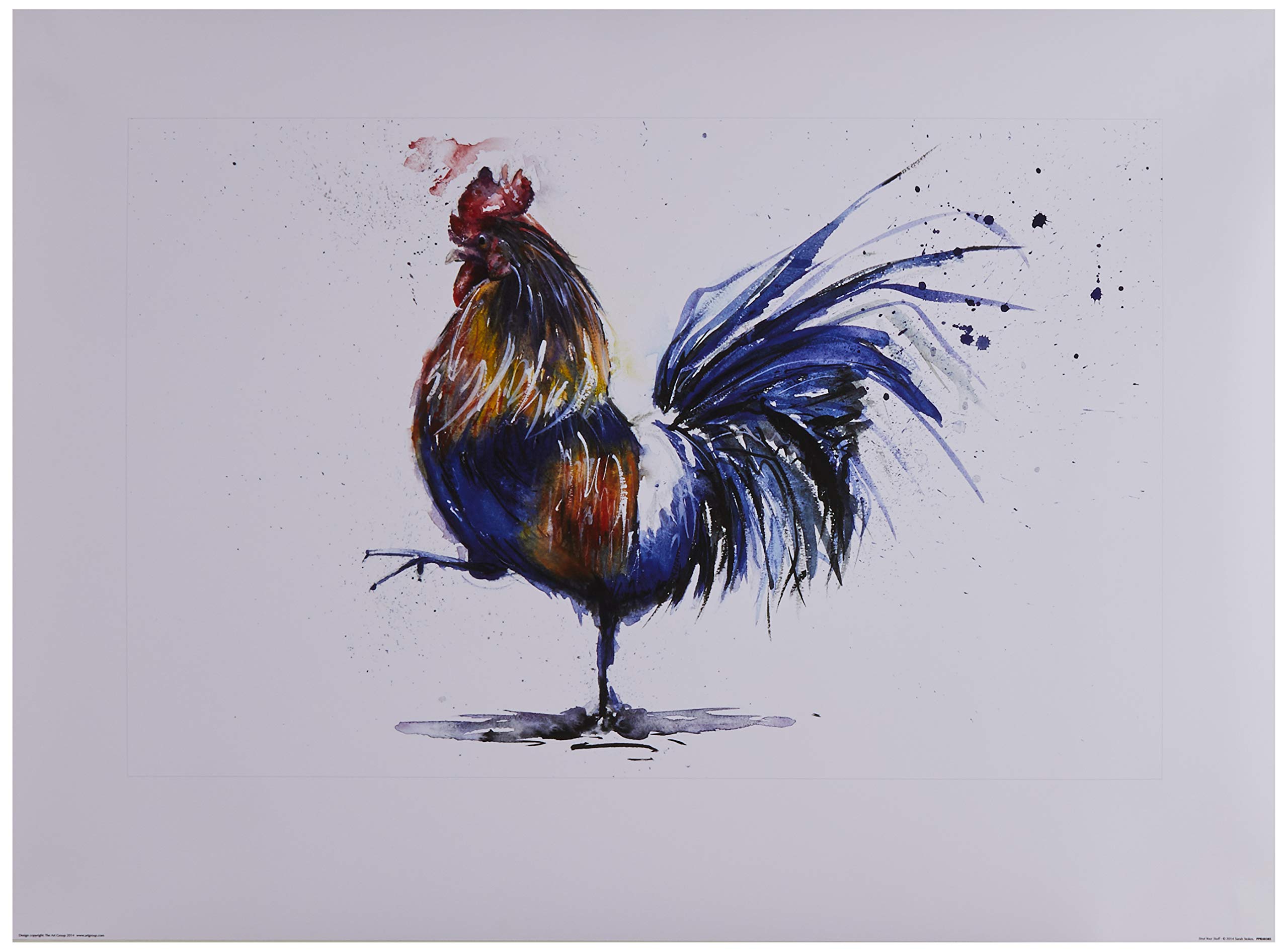 The Art Group Strut Your Stuff Sarah Stokes Art Print, Paper, Multi-Colour, 60 x 80 x 1.3 cm