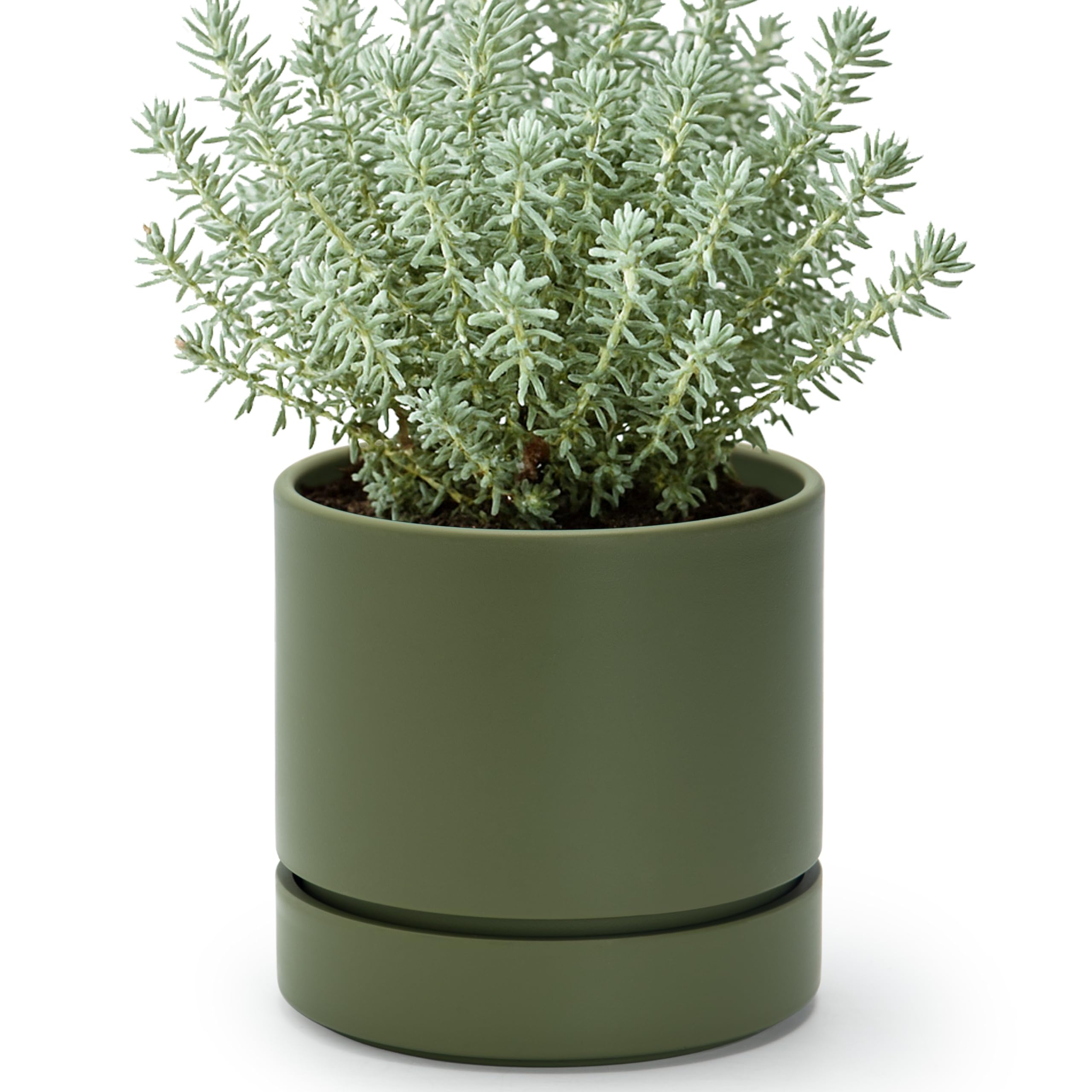 Pot cylindrique olive Phoenix Vine pour sublimer votre bureau ou salon