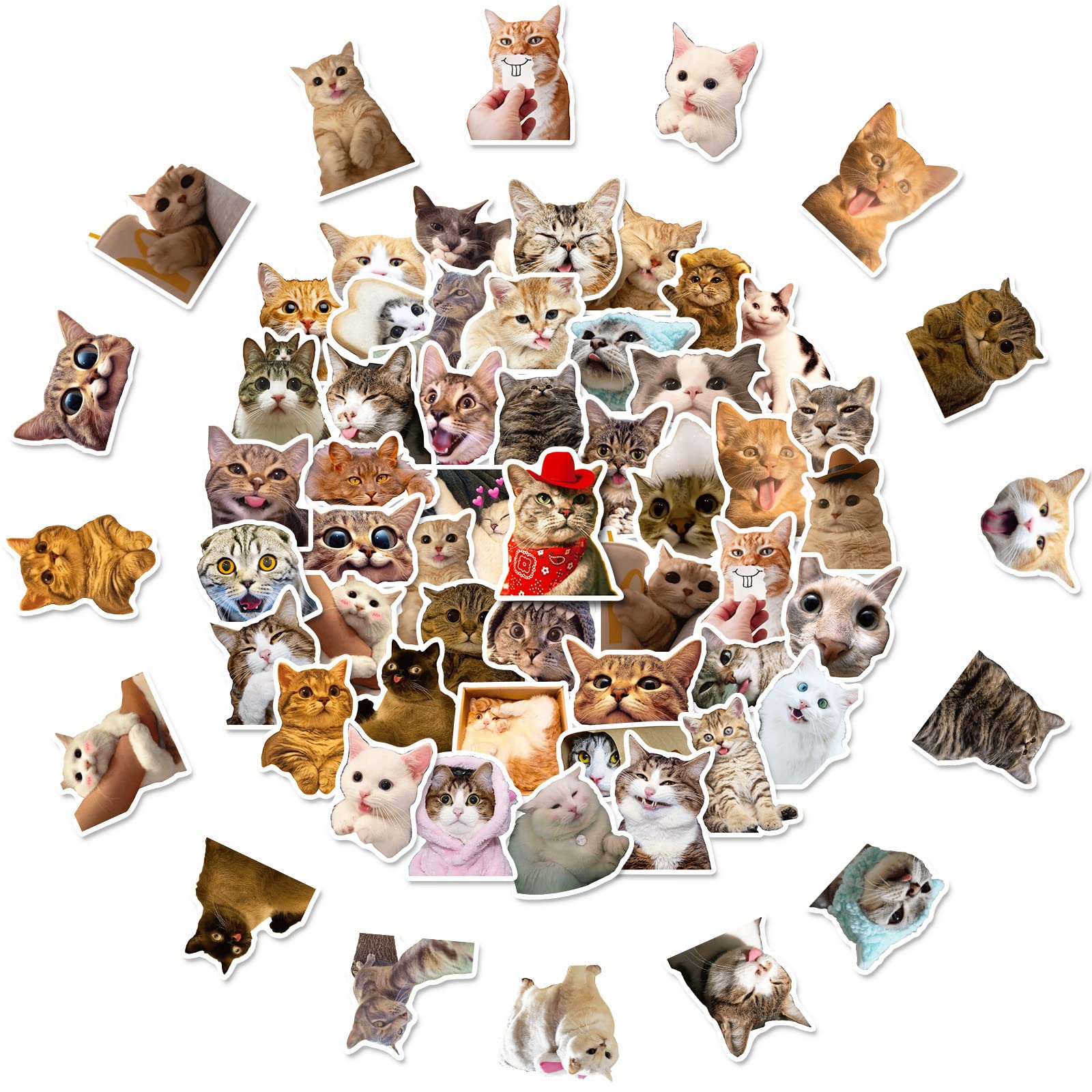 Funny Cat Stickers Set