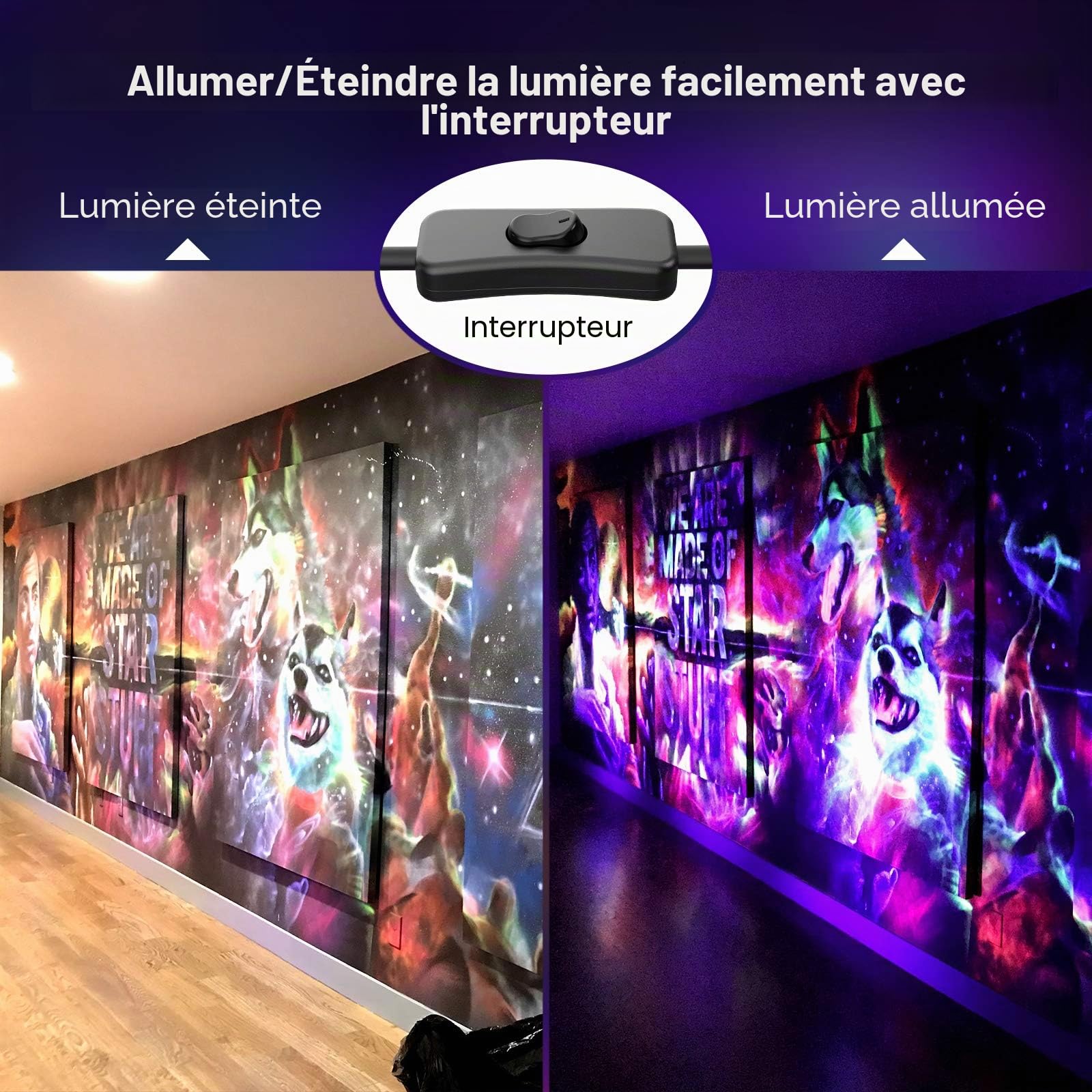 Onforu 20W Lumière Noire LED, Projecteur UV Extérieur, IP66 Étanche Lumiere Noire LED, Eclairage à Effet Ultra-violet pour Soirée, Peinture Fluo, Affiche Fluorescente, Néon, Bar, Fête, Halloween, 2pc