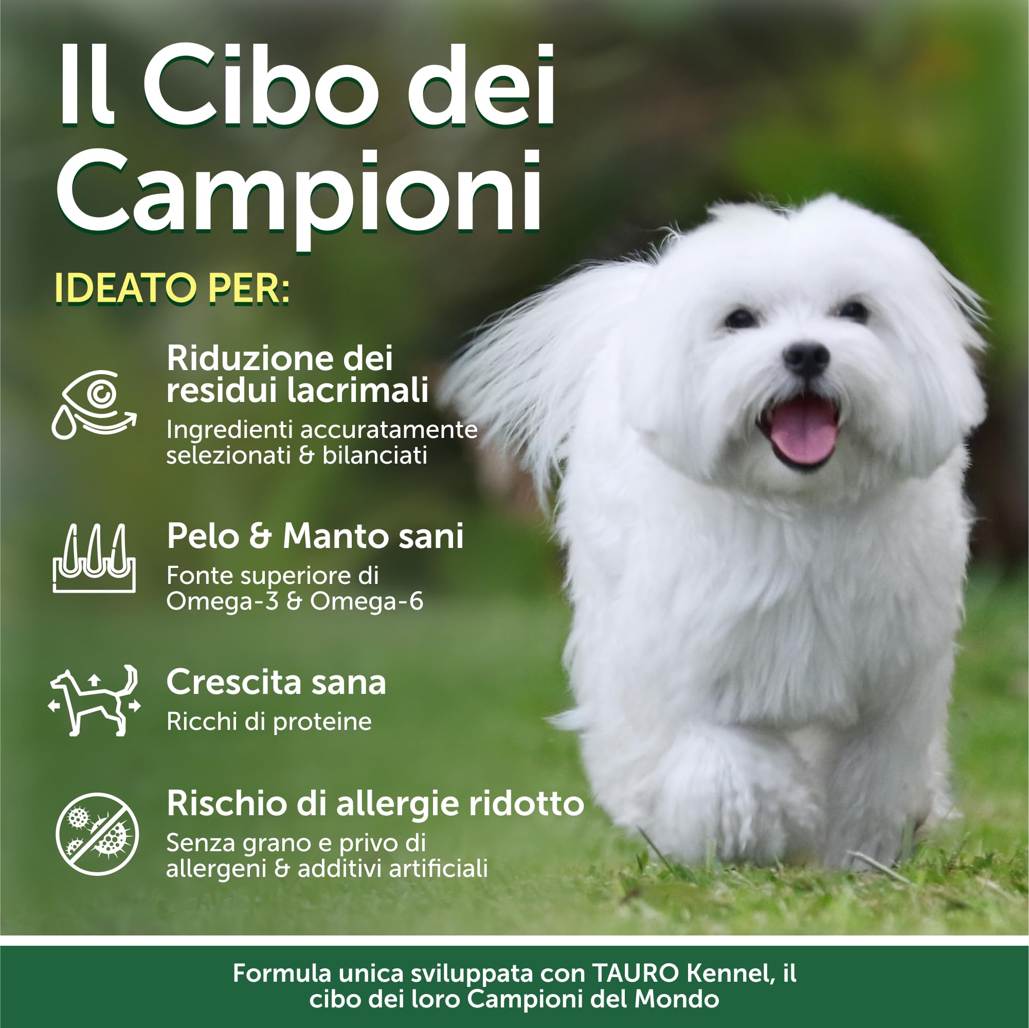 Nature's Protection Cani bianchi di cura superiore (Maltese, Bichon Frise) Cibo secco I Grain Free I Junior (da 3 a 12 mesi di età) Tutte le razze con cappotto bianco I Salmone I No Lacrima, 1,5 kg