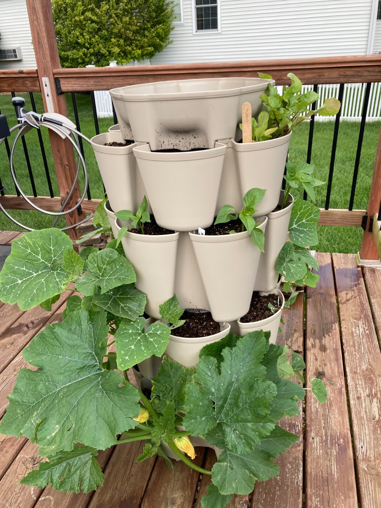 Greenstalk internal watering system demonstration