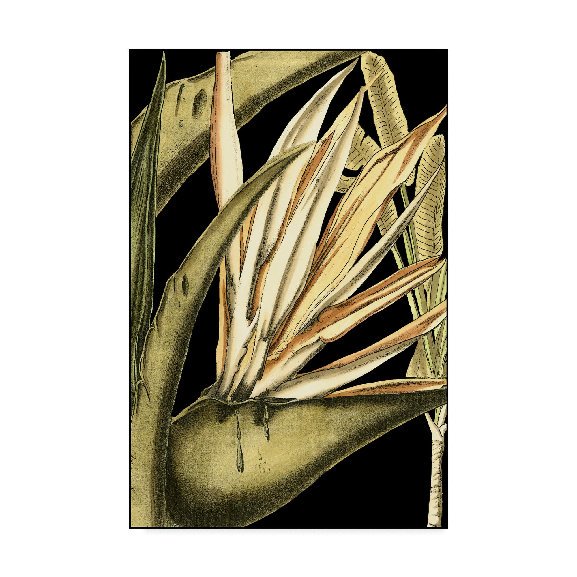 Trademark Fine Art WAG00337-C3047GG Tranquil Tropical Leaves Iii by Vision Studio, 30x47-Inch, 30x47, Multicolor