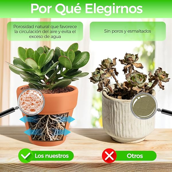 Valyrane Pack de 24 Macetas de Terracota de 5,5 cm con Agujero de Drenaje, Pequeñas Macetas Reutilizables para Suculentas, Cactus y Flores, Ideales para Manualidades en el Hogar y la Oficina - 5
