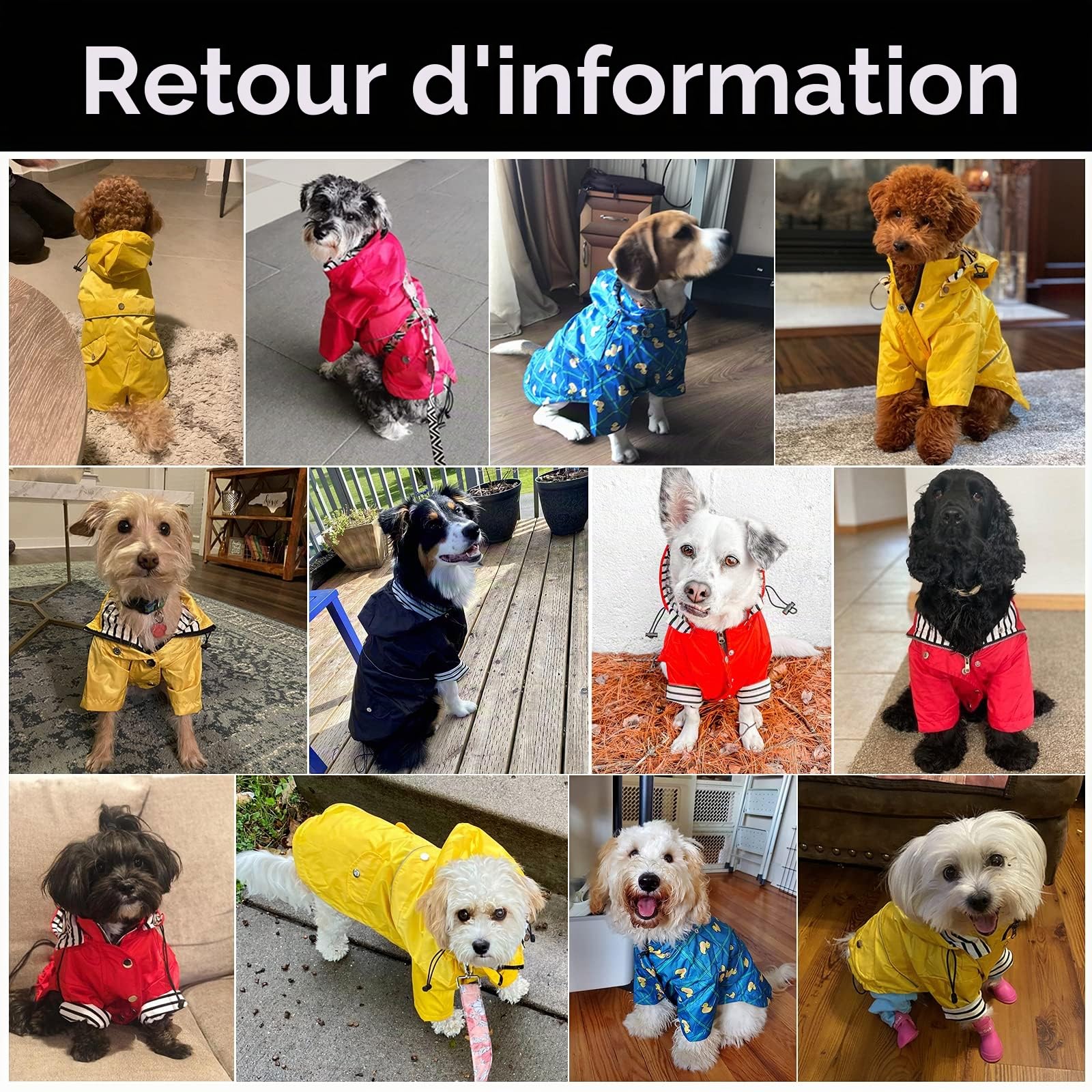 MOREZI Imperméable pour Chien, avec Boutons et Fermetures éclair réfléchissants, imperméable/Pluie, Cordon de Serrage réglable, Capuche Amovible-Jaune-L