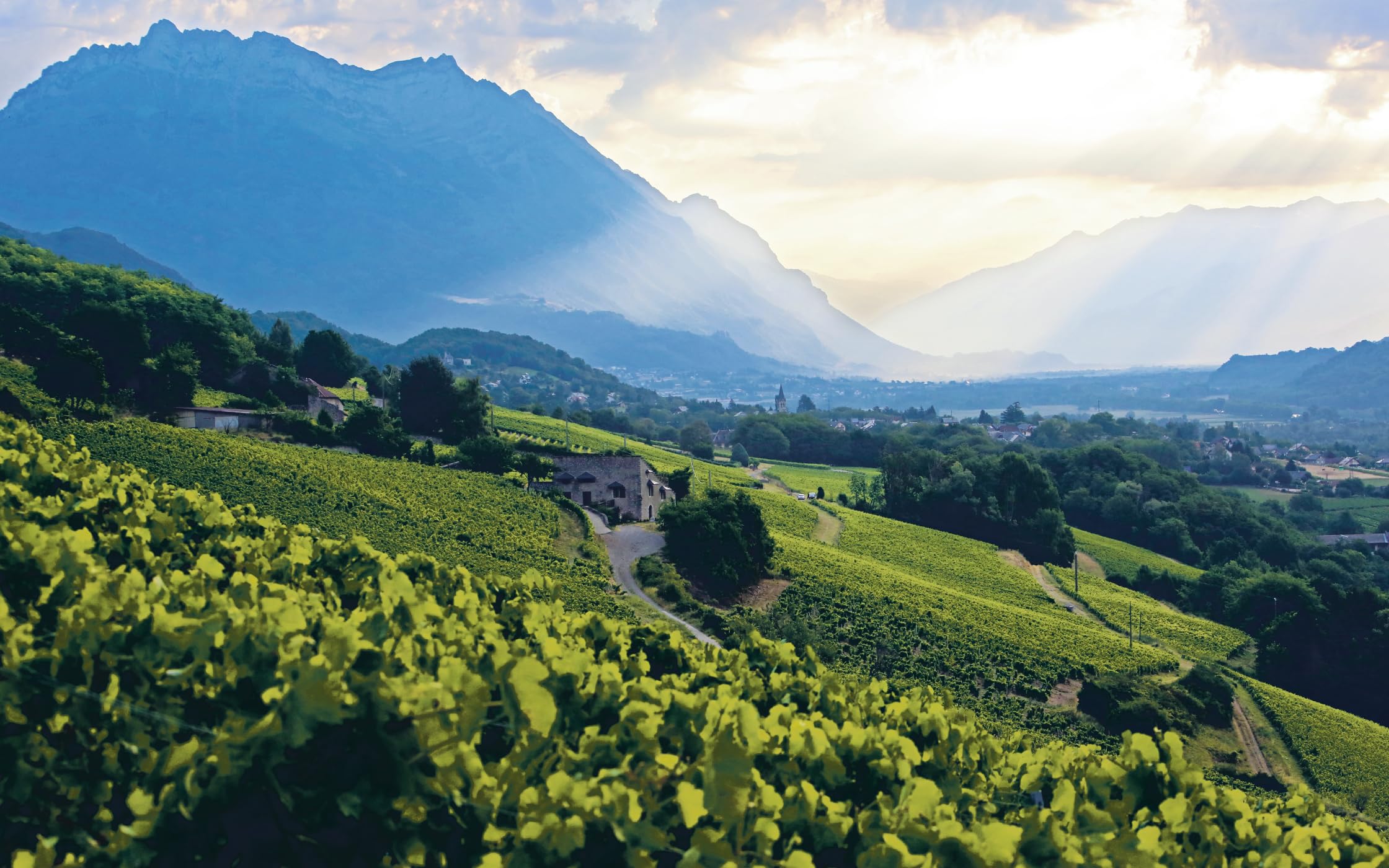 Coffret en 2 volumes Le nouveau vin français: Redéfinir la plus grande culture viticole du monde