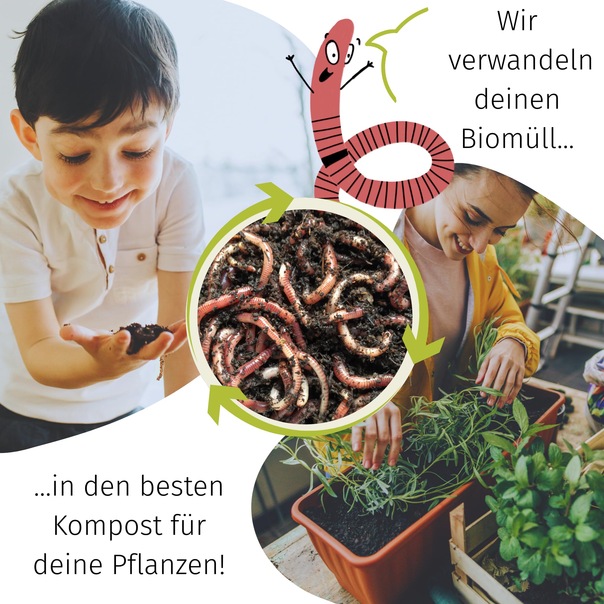 500 Kompostwürmer kaufen in 5L Kompoststarter Substrat - Eisenia Würmer produzieren Wurmhumus
