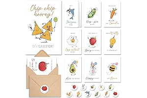 20 Envelopes &amp; Stickers 20 Funny Birthday Cards