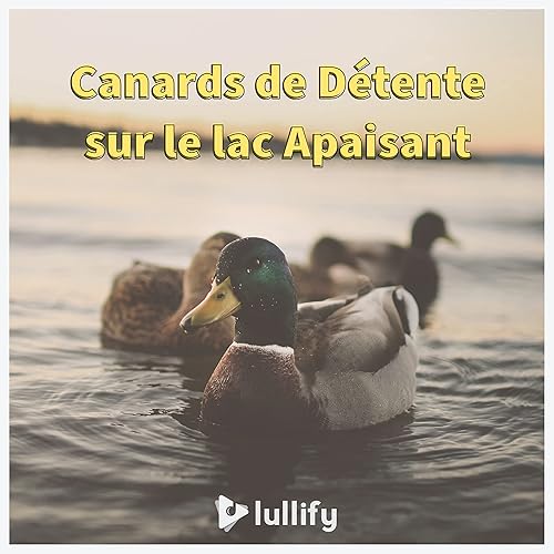 Le Canard Colvert By Lullify Francais On Amazon Music Amazon Com Le Canard Colvert By Lullify Francais On Amazon Music Amazon Com