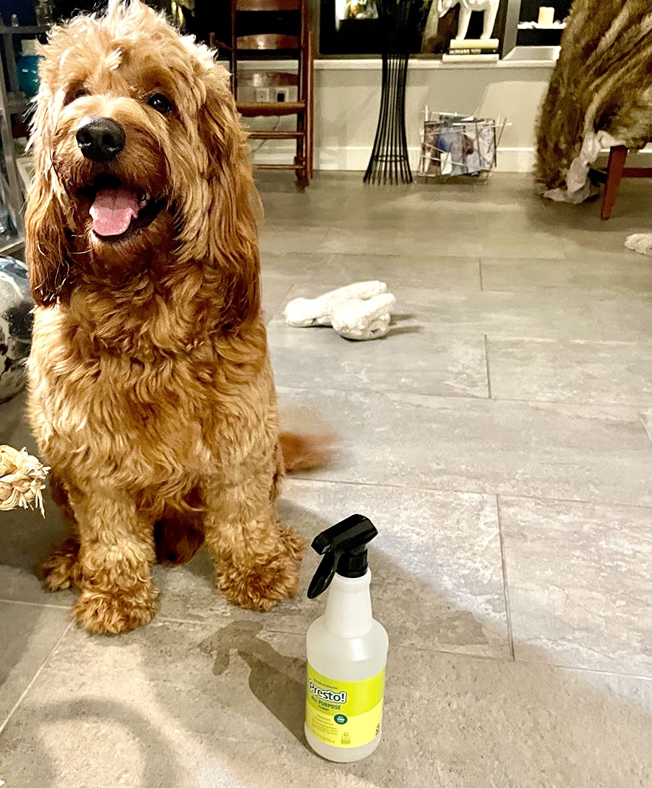 5/mo Finance Amazon Brand Presto! MultiSurface Cleaner