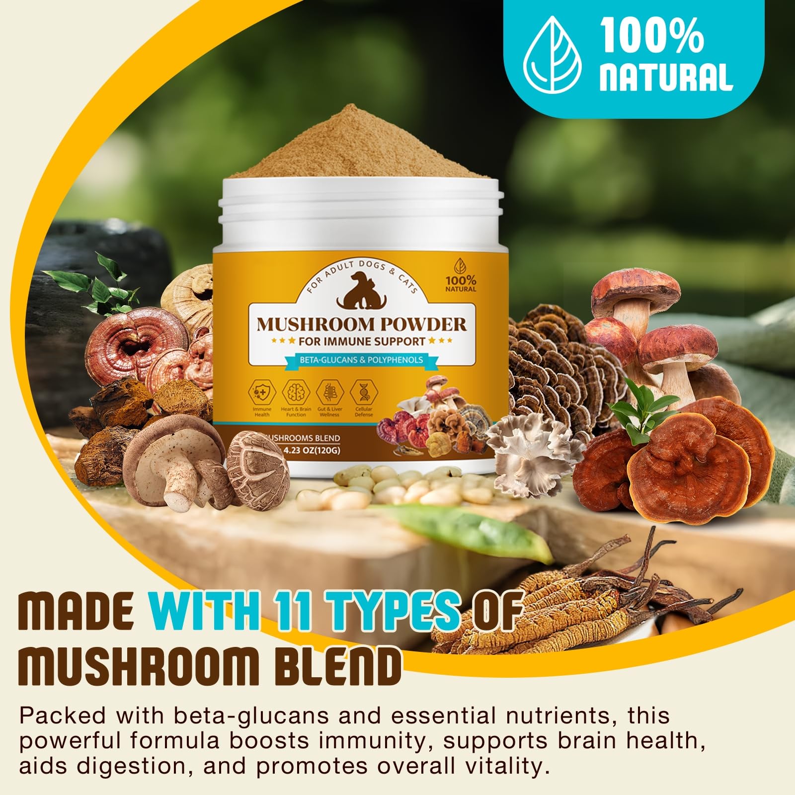 Organic Mushroom Supplement Powder for Dogs & Cats – 11 Mushroom Complex with Turkey Tail, Reishi & Cordyceps, Supports Lipoma, Lumps & Bumps Relief, Immune & Skin Health, 120g — Amazon image 2