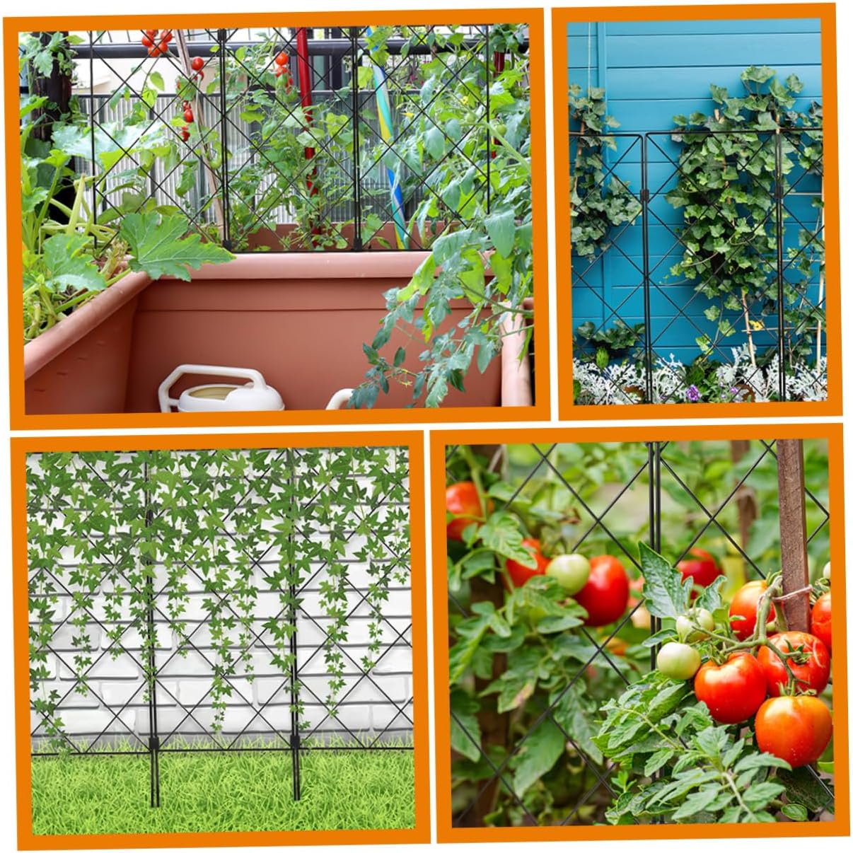 2pcs Plant Climbing Frame Garden Trellis for Support of Climbing Plants Sturdy Structure for Tomatoes Peas and Vines