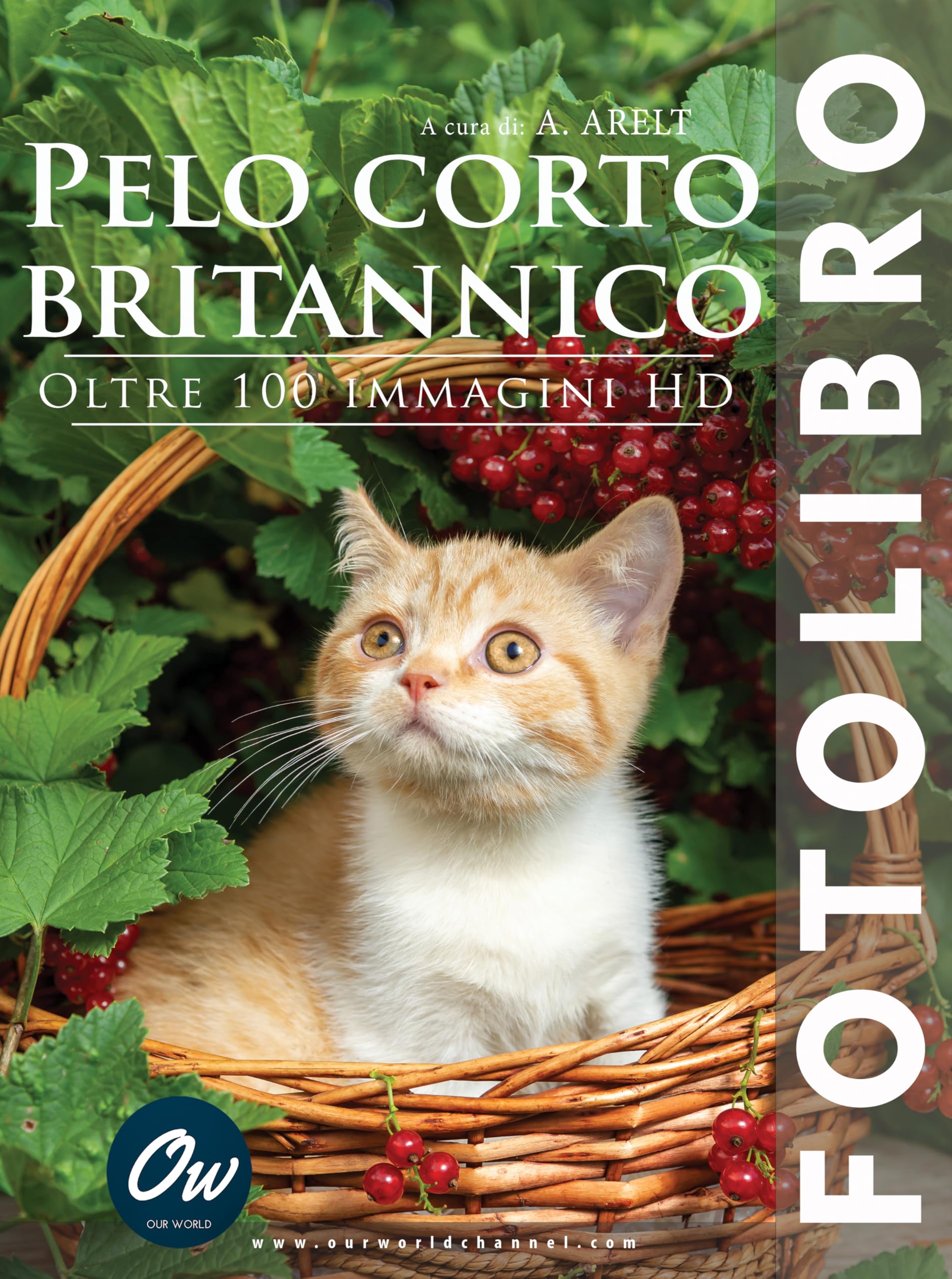 Livre British Shorthair pour tout savoir sur ce chat à poil court