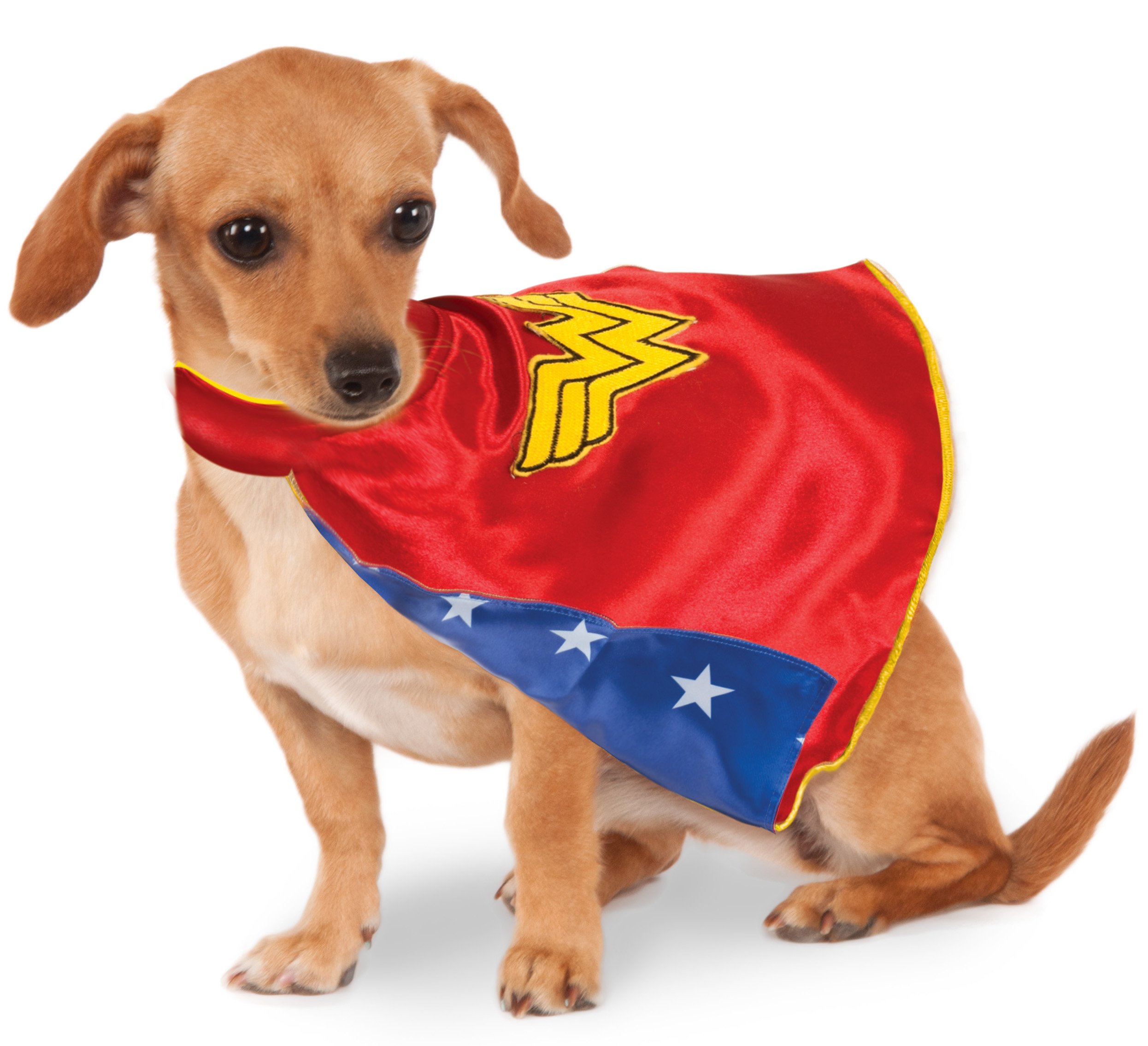 DC Comics Wonder Woman Pet Cape, X-Large, Multicolor, XL (Pack of 1)