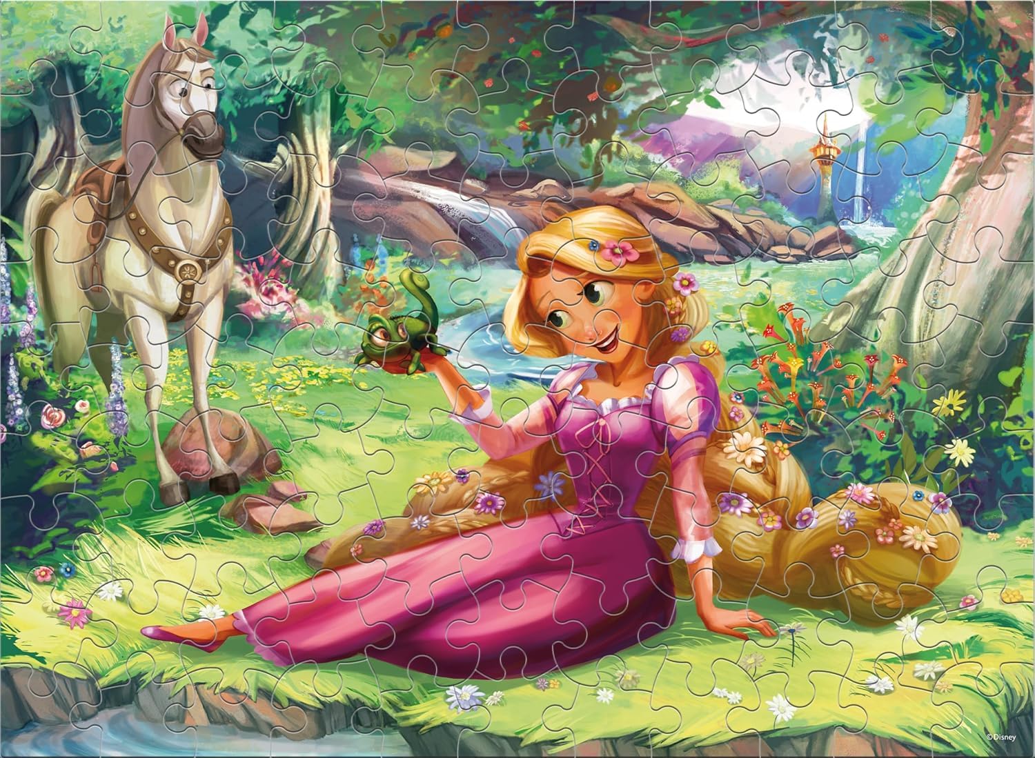 Amazon.com: Ceaco: Disney