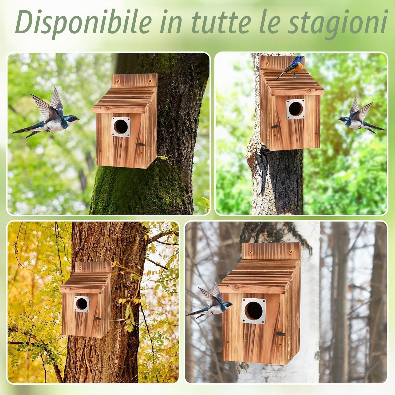 4 pezzi Casetta per uccellini da esterno, con protezioni in metallo, serrature di sicurezza, fessure di volo e ventilazione, ingresso di 3,8 cm