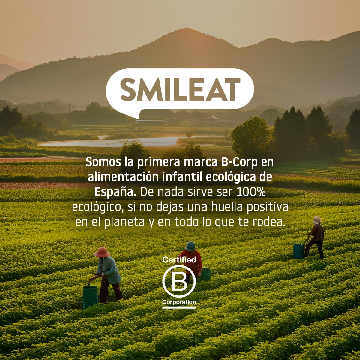 Smileat Platito de Macarrones con Verduras de la Huerta Ecológico 200g