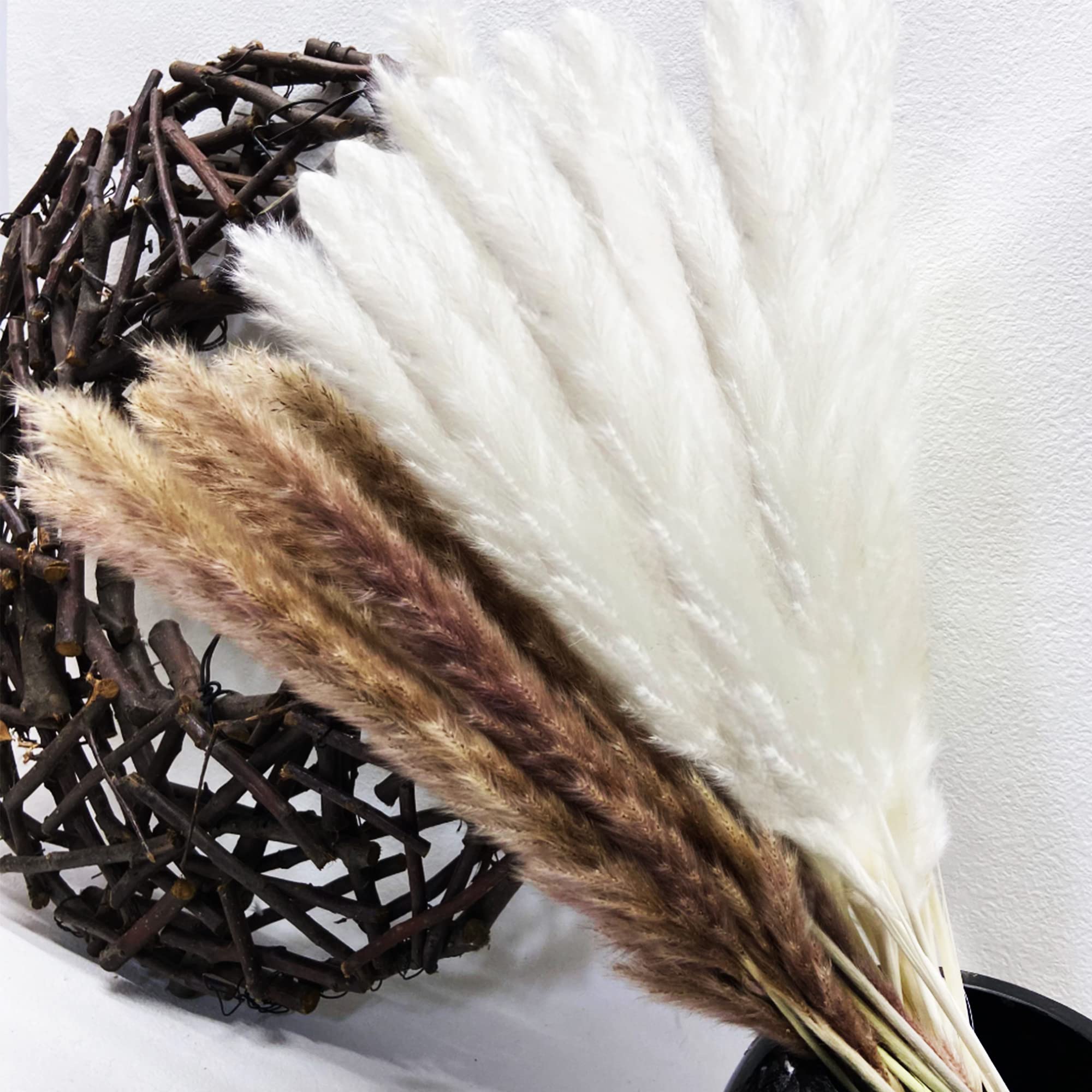 Buy Dried Pampas Grass 45 cm Large Pompass Grass Branches with Pack of